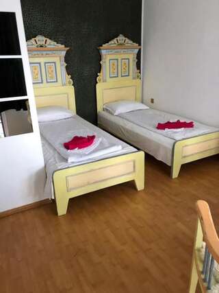 Гостевой дом Pensiunea Andalex Зэрнешти Двухместный номер с 2 отдельными кроватями и террасой-5